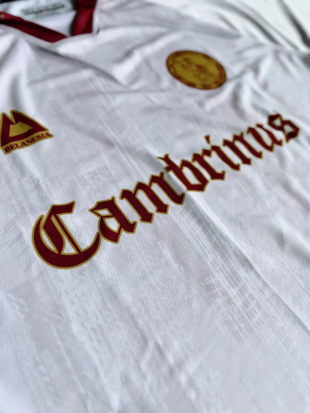 Cambrinus - view photo 3