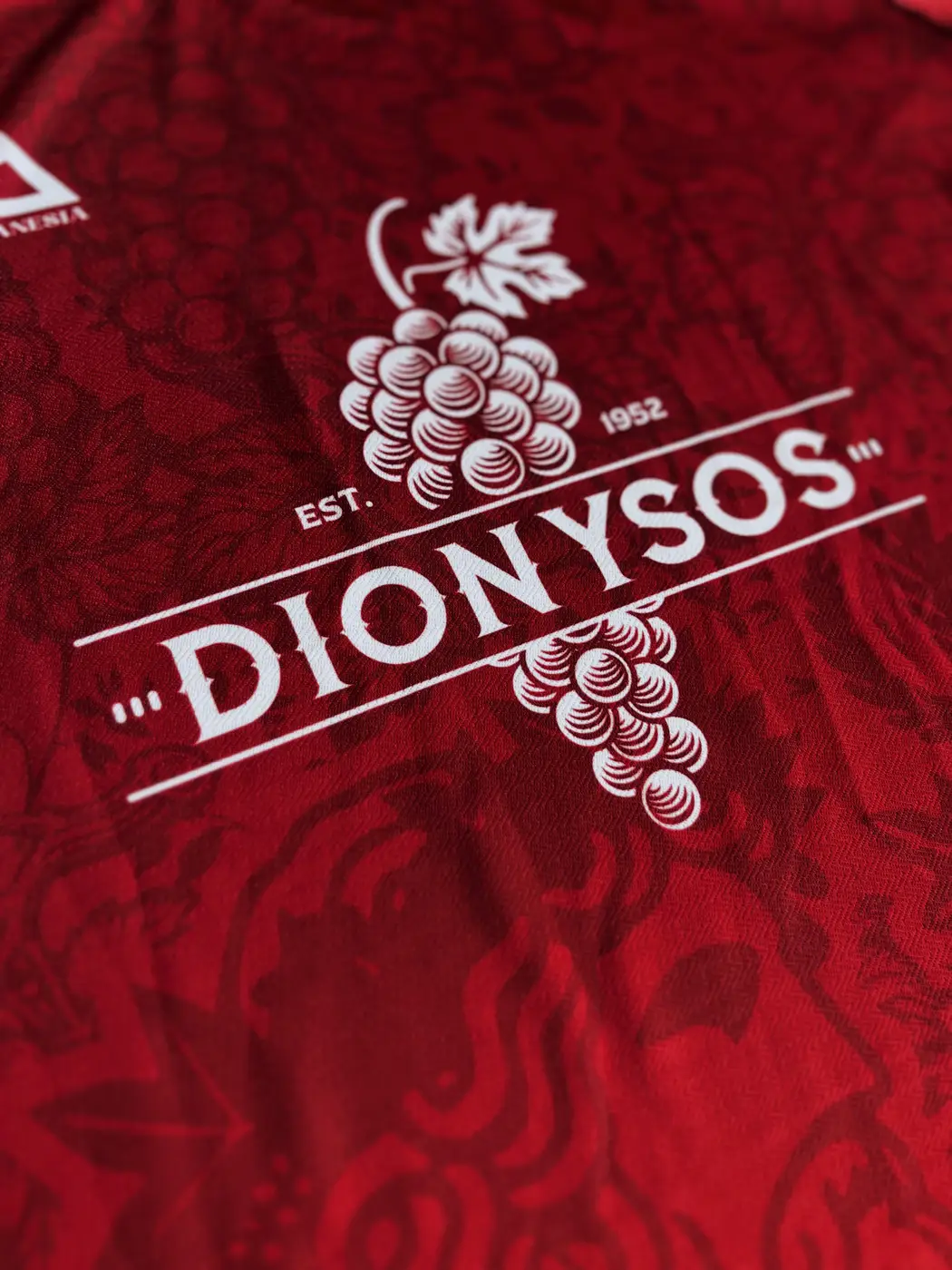 Dionysos - view photo 5