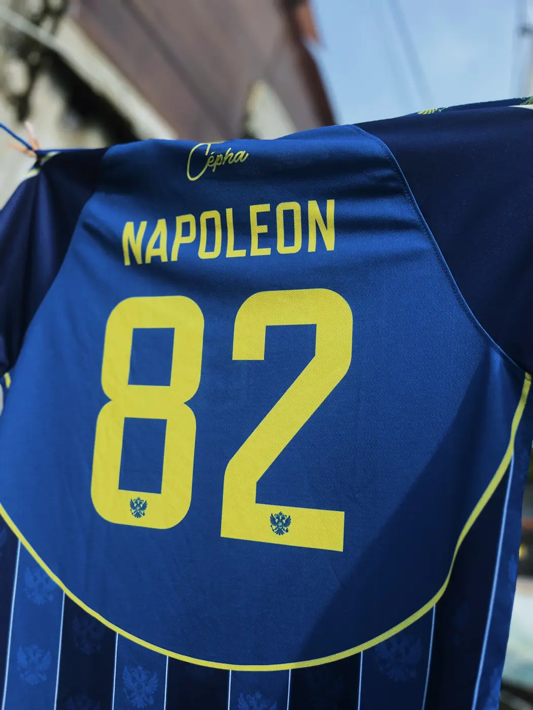 Napoleon - view photo 3