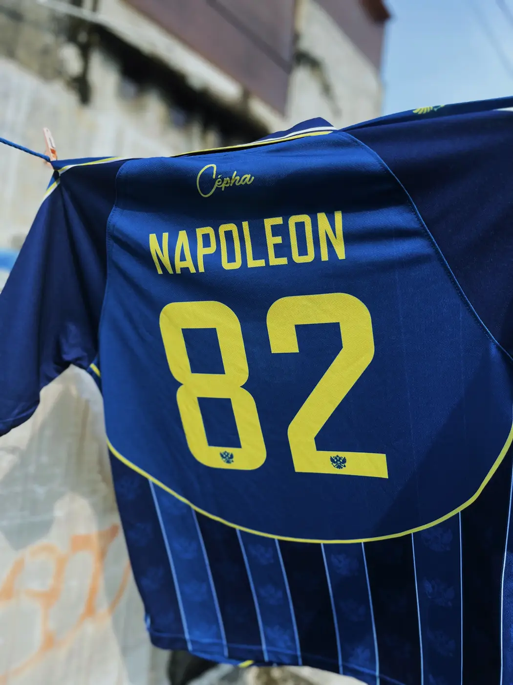 Napoleon - view photo 6